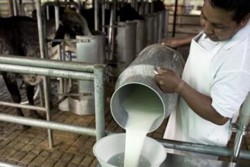 Por la caída en el consumo, la producción de leche retrocedió 14,5% en el primer cuatrimestre del año