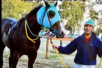 La Pampa: Envenenan un caballo pura sangre en un stud y acusan a su cuidador