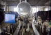 El Gobierno Bonaerense anunció financiamiento para la lechería