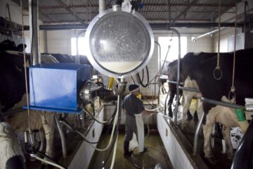 Prorrogan por un año la suspensión de las retenciones a los productos lácteos