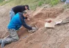 Encontraron en la Provincia de Buenos Aires restos de un Gliptodonte con marcas de origen humano