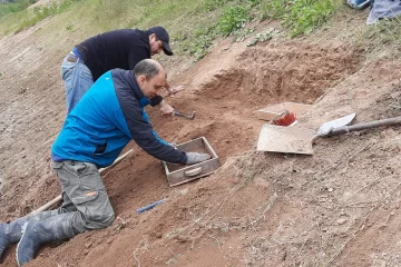 Encontraron en la Provincia de Buenos Aires restos de un Gliptodonte con marcas de origen humano