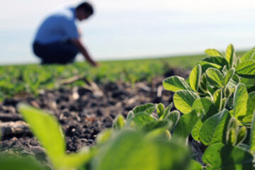 La UPSO presenta nueva Formación Profesional en Producción Agropecuaria para Rivera