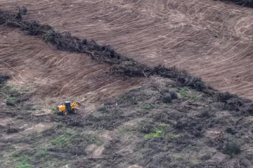 Se deforestaron casi 60.000 hectáreas en el norte argentino sólo en el primer semestre del año
